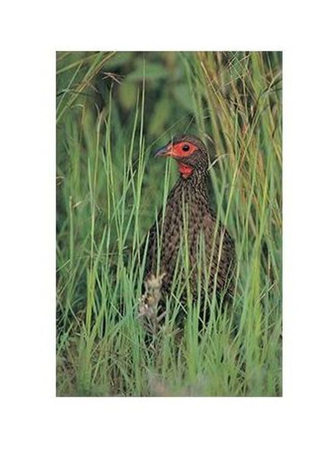 Decorative Wall Poster Multicolour 24x18cm