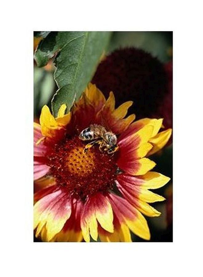 PHOTOBLOCK Decorative Wall Poster Multicolour 24x18cm