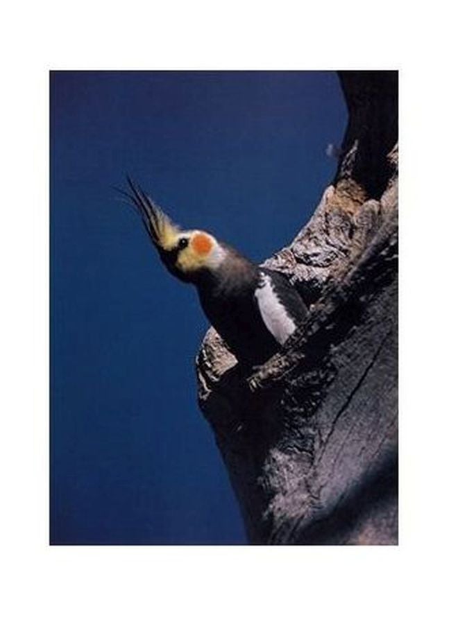 PHOTOBLOCK Decorative Wall Poster Blue/Black/White 24x18cm