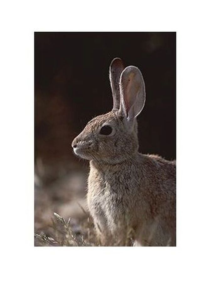 فوتو بلوك بوستر حائط للتزيين متعدد الألوان 24x18سم