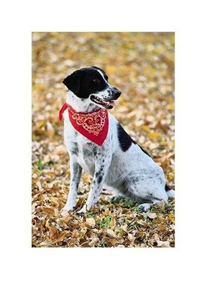 PHOTOBLOCK Decorative Wall Poster Beige/Black/White 24x18cm