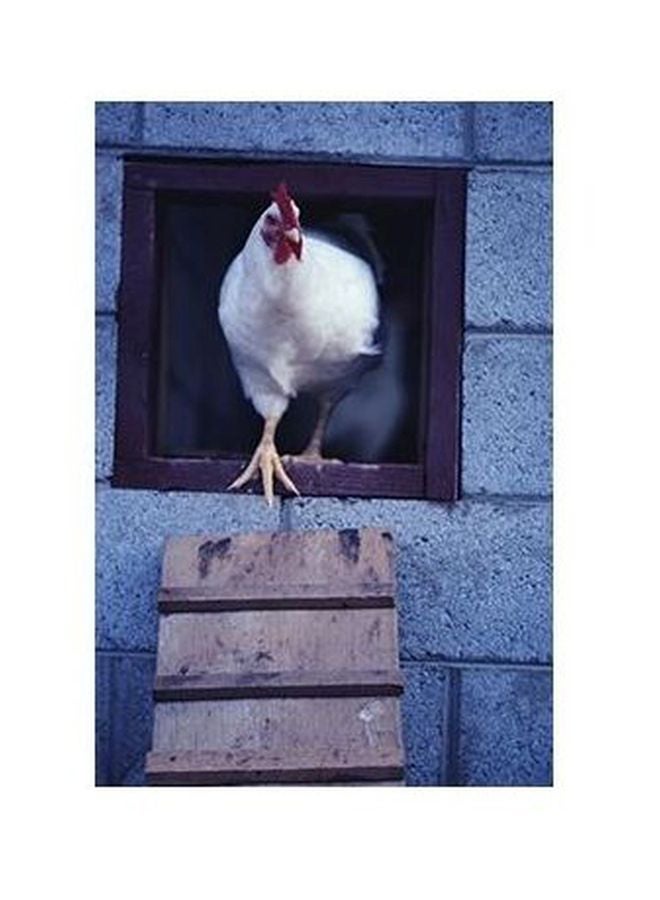 Decorative Wall Poster Multicolour 24x18cm