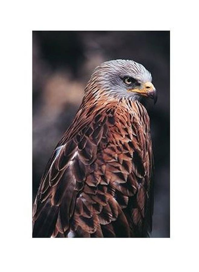 فوتو بلوك بوستر حائط للتزيين متعدد الألوان 24x18سم