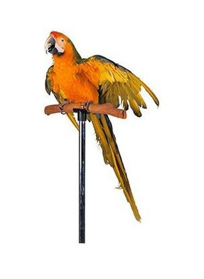 Decorative Wall Poster Black/Orange/Brown 24×18cm