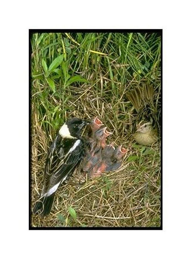 بوستر حائط للتزيين أخضر/أسود/أبيض 24×18سم