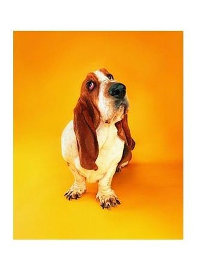 بوستر حائط للتزيين برتقالي/أبيض/بني 24×18سم