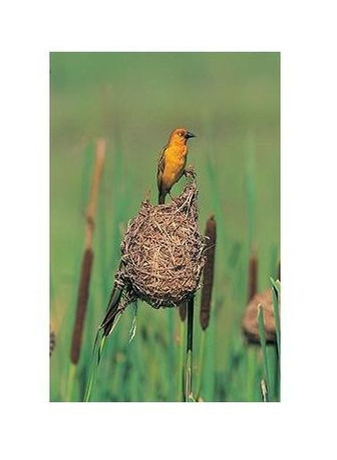 Decorative Wall Poster Green/Brown/Orange 24×18cm