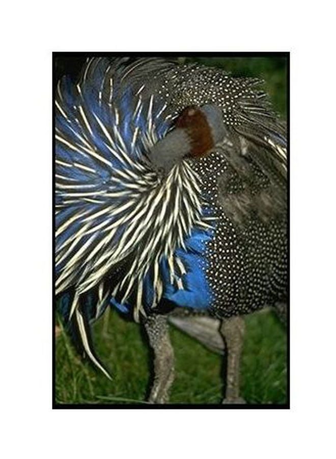 بوستر حائط للتزيين أخضر/أزرق/أسود 24×18سم