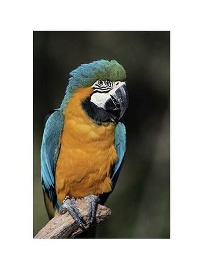 بوستر حائط للتزيين أصفر/ أزرق/ أسود 24x18سم