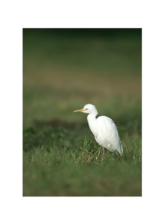 بوستر حائط للتزيين أخضر/أبيض 24x18سم