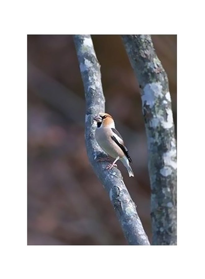 بوستر حائط للتزيين رمادي / أبيض / أصفر 24x18سم