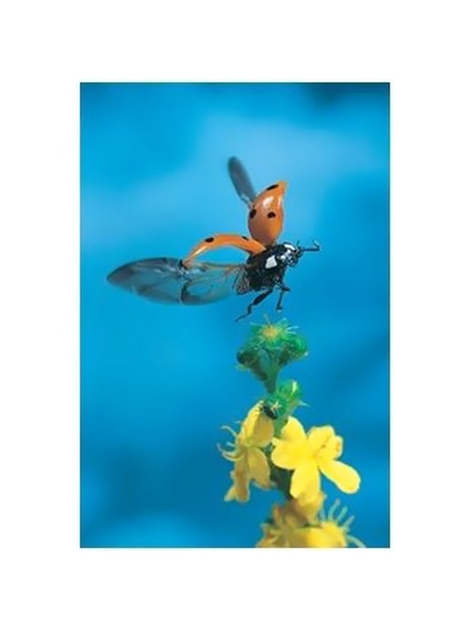 Decorative Wall Poster Blue/Yellow/Green 24x18cm