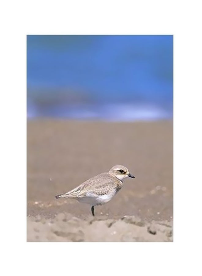 Decorative Wall Poster Blue/Beige 24x18cm