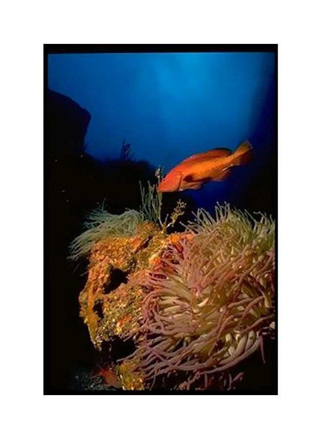 PHOTOBLOCK Decorative Wall Poster Blue/Orange 24x18cm