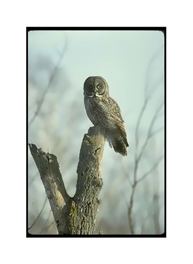 بوستر حائط للتزيين البني/الرمادي 24x18سم