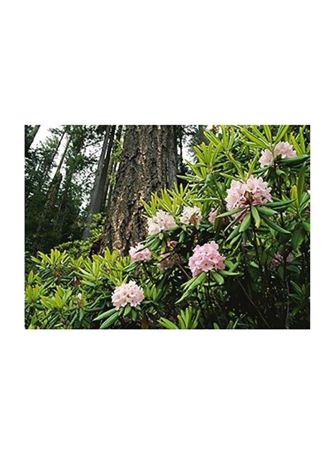 بوستر حائط للتزيين أخضر/رمادي/وردي 24x34سم