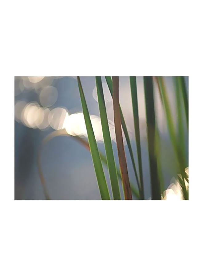 Decorative Wall Poster Green/Blue 18x24cm