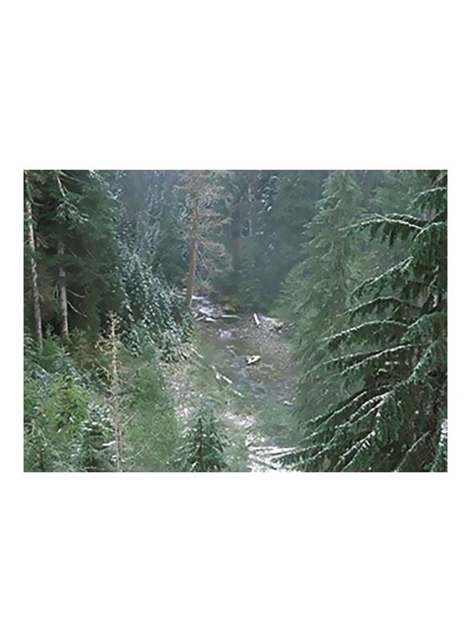 Decorative Printed Wall poster Green 40x60cm