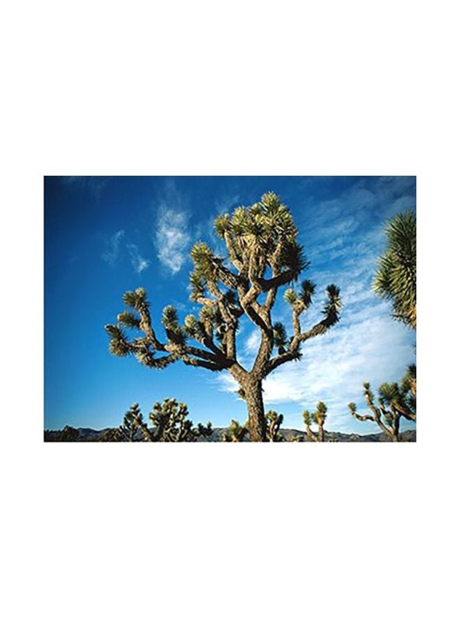 بوستر حائط للتزيين أزرق/أخضر/أبيض 40x60سم