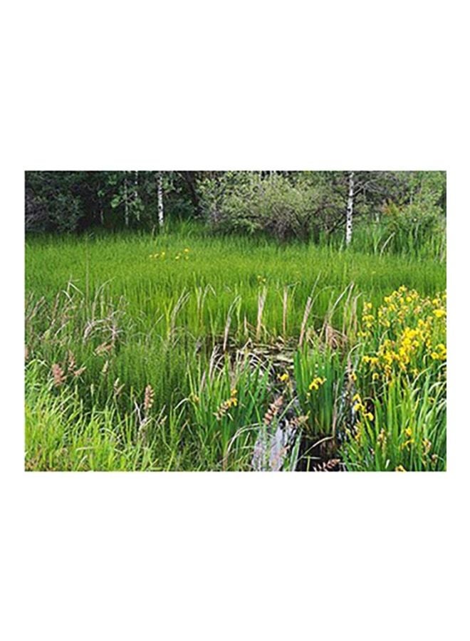 فوتو بلوك بوستر حائط للتزيين أخضر/أبيض 18x24سم