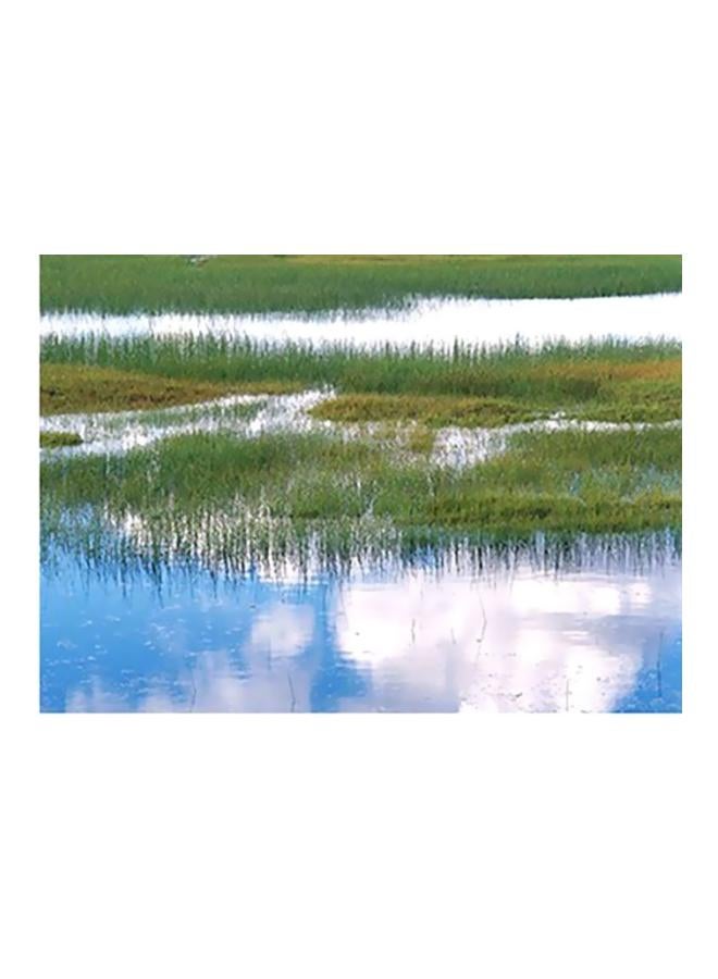 فوتو بلوك بوستر حائط للتزيين أخضر / أزرق / أبيض 40x60سم