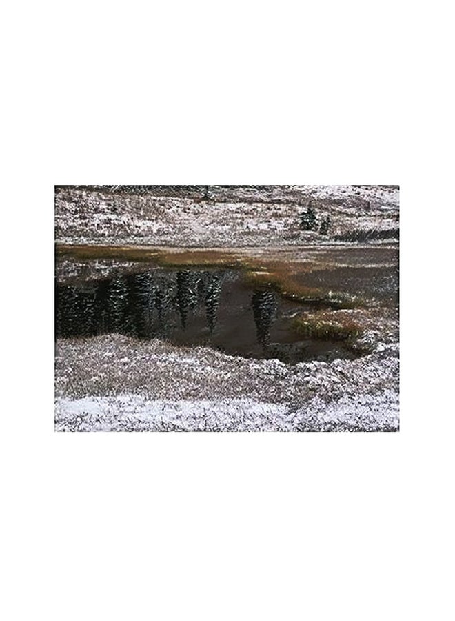 Decorative Wall Painting White/Black/Brown 24x18cm