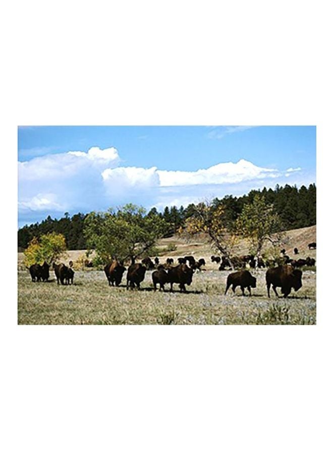 فوتو بلوك بوستر حائط للتزيين أزرق/أخضر/بني 24x18سم