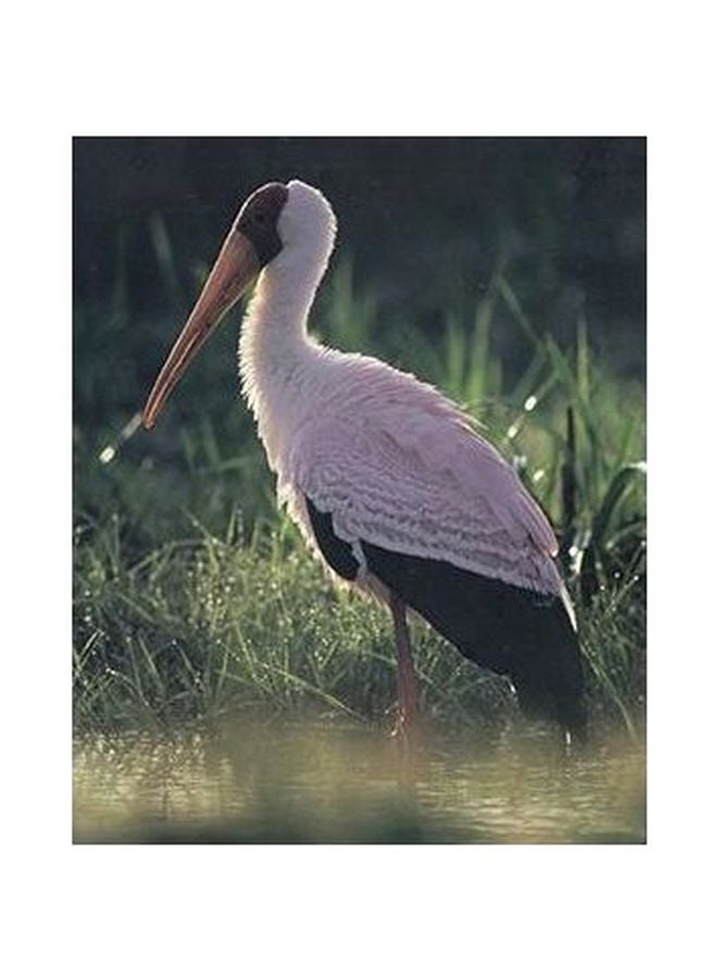 فوتو بلوك لوحة جدارية لتزيين الحائط مع إطار أبيض/أخضر 60x40سم