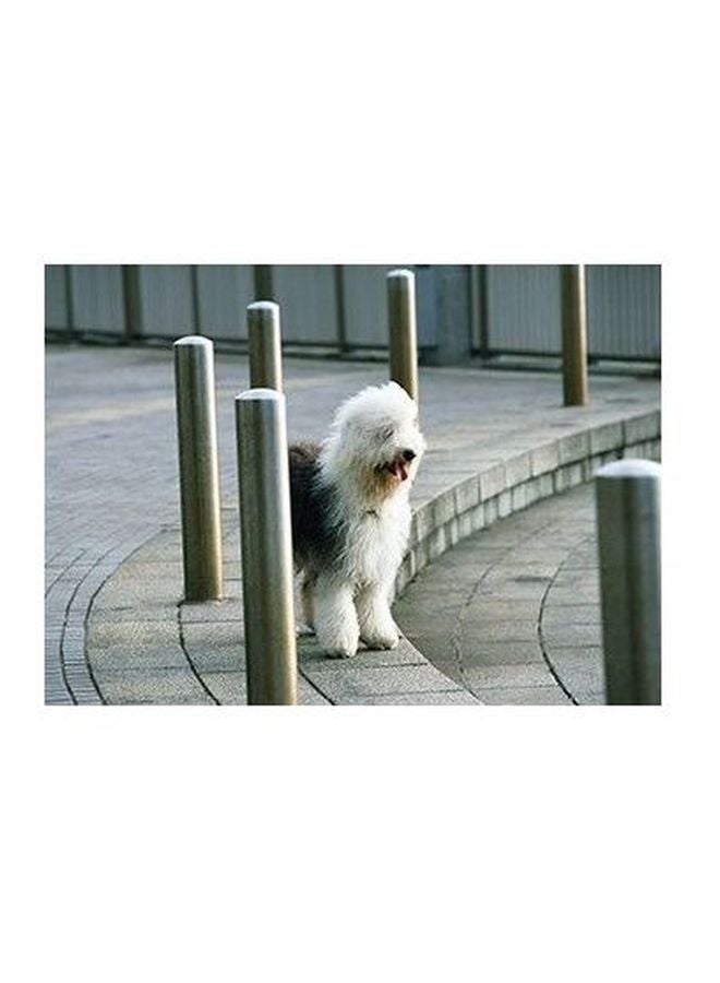 بوستر حائط للتزيين أبيض\فضي\أسود 24x18سم