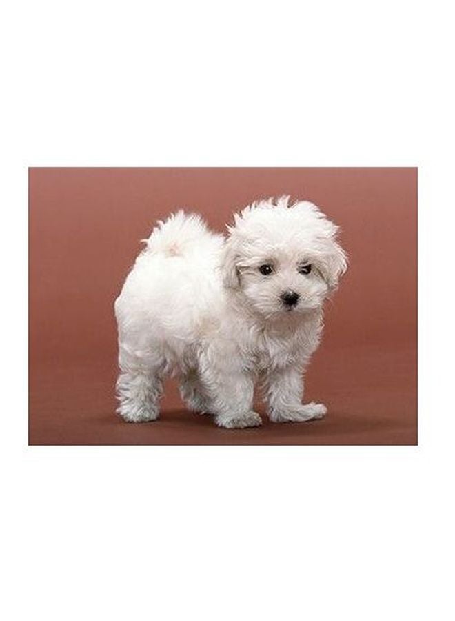 Decorative Wall Poster White/Beige/Black 24x18cm