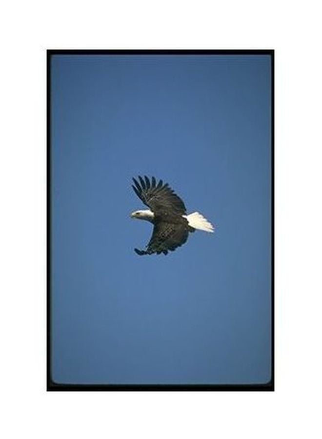 بوستر حائط للتزيين أزرق/ أبيض/أحمر 24x18سم