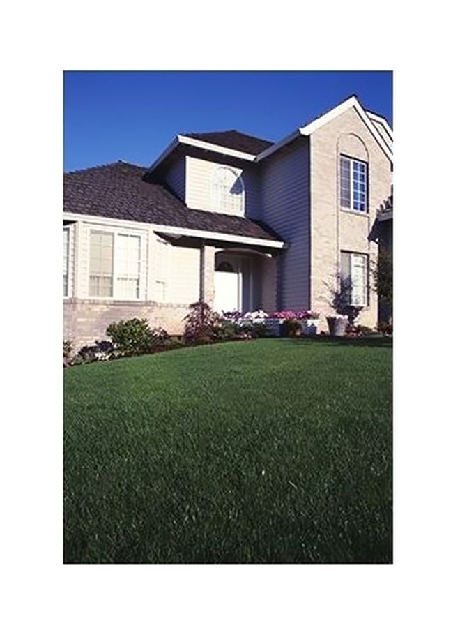 بوستر حائط للتزيين أخضر/أبيض/ أزرق 34x24سم