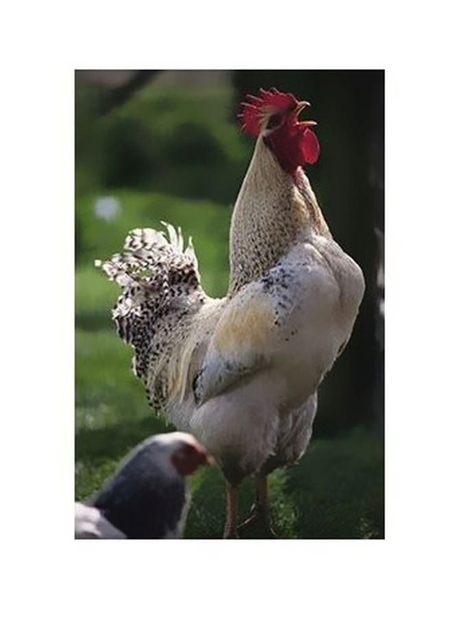 بوستر حائط للتزيين أخضر/أبيض/أحمر 34x24سم