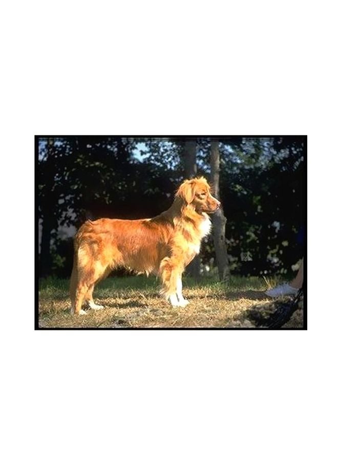 فوتو بلوك بوستر حائط للتزيين بيج/أسود/أخضر 18x24سم