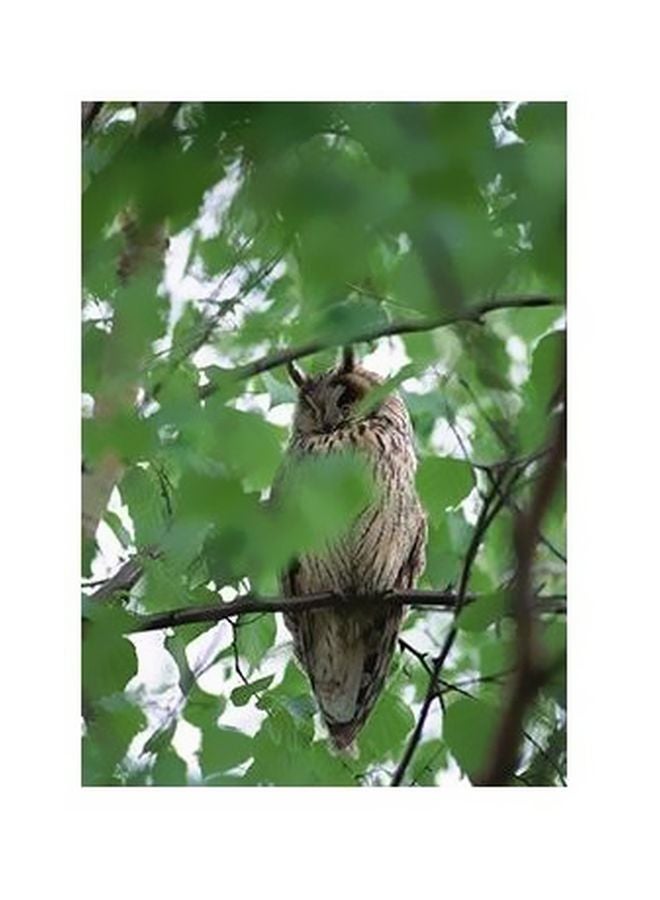 فوتو بلوك بوستر جداري للتزيين مع إطار متعدد الألوان 34x24سم