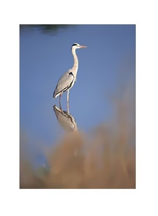 PHOTOBLOCK Decorative Wall Poster Blue/White/Beige 34x24cm 