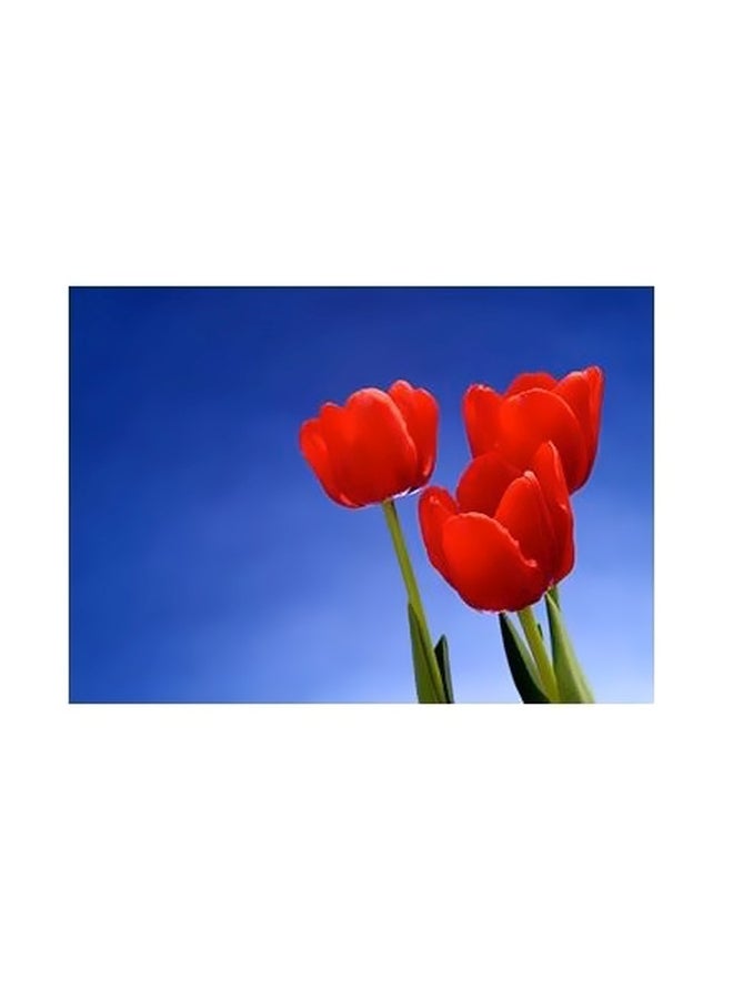 بوستر حائط للتزيين متعدد الألوان 24x18سم