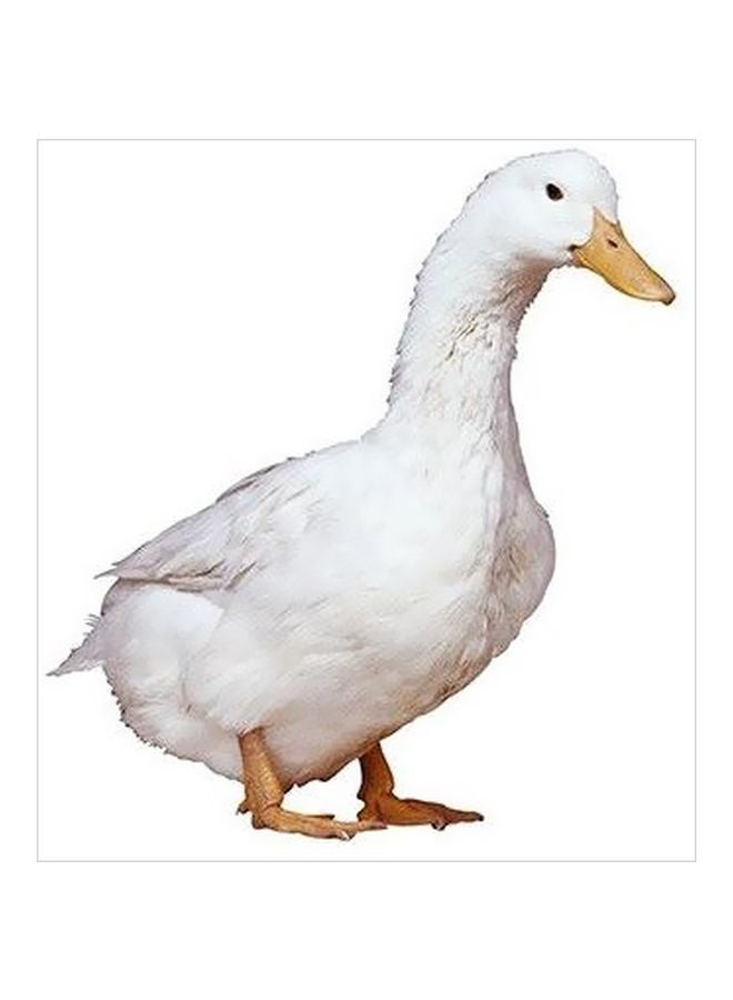 PHOTOBLOCK Decorative Wall Poster White/Yellow 15x15cm