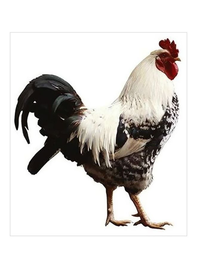 PHOTOBLOCK Decorative Wall Poster White/Red/Black 15x15cm