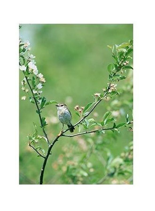 PHOTOBLOCK Decorative Wall Poster With Frame Multicolour 45x31cm