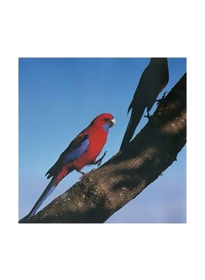 فوتو بلوك بوستر حائط للتزيين أزرق / أحمر / بني 15x15سم