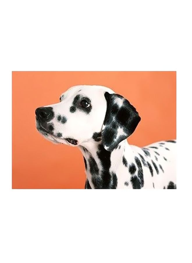 فوتو بلوك بوستر حائط للتزيين برتقالي/أبيض/أسود 24x18سم