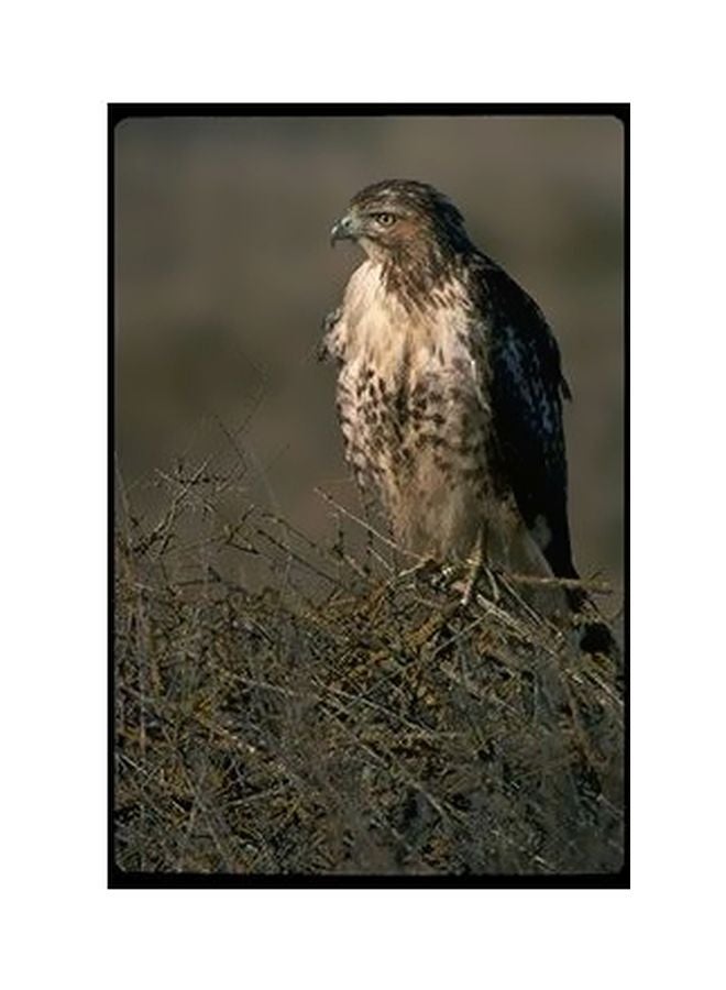 فوتو بلوك بوستر حائط للتزيين متعدد الألوان 34x24سم