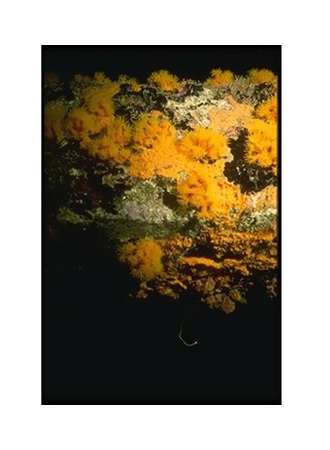 PHOTOBLOCK Decorative Wall Poster Black/Yellow/Green 15x20cm