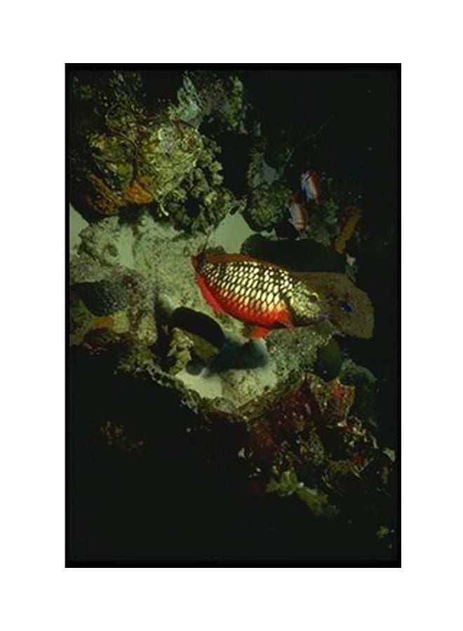 فوتو بلوك بوستر حائط للتزيين أسود/ أخضر/ برتقالي 15x20سم