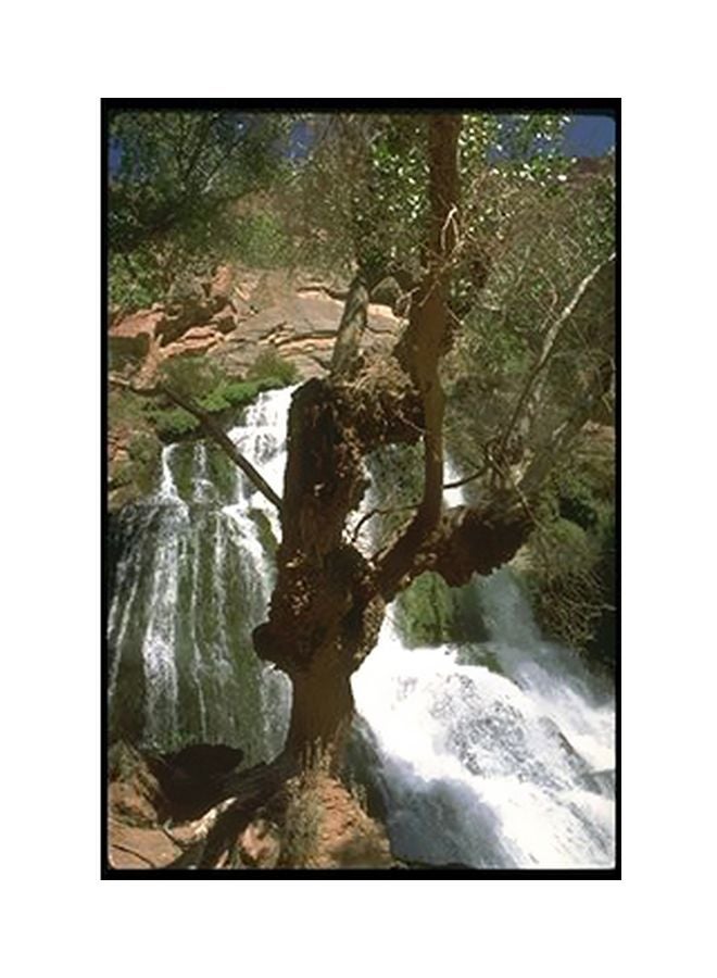 بوستر حائط للتزيين أبيض/أخضر/بني 15x20سم