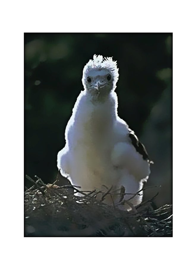 Decorative Wall Poster Black/White 45x31cm