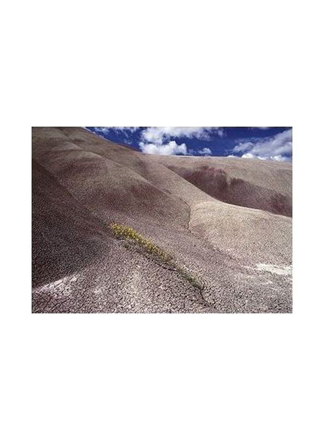 Decorative Wall Poster Blue/White/Grey 24x18cm