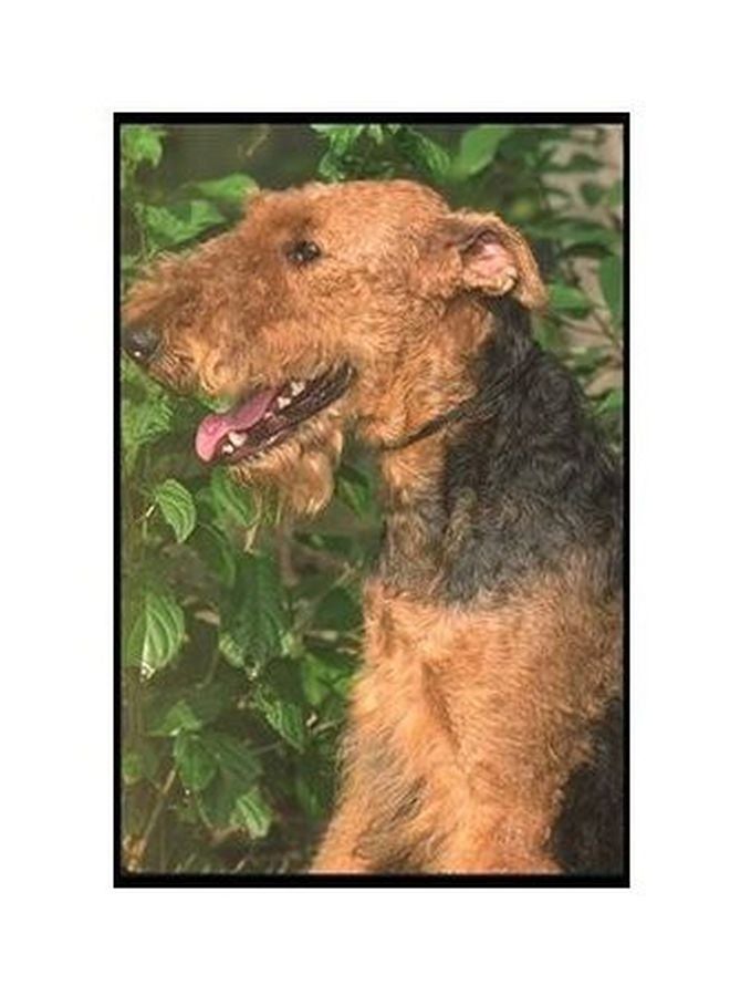 بوستر حائط للتزيين أخضر/بني/أسود 34×24سم