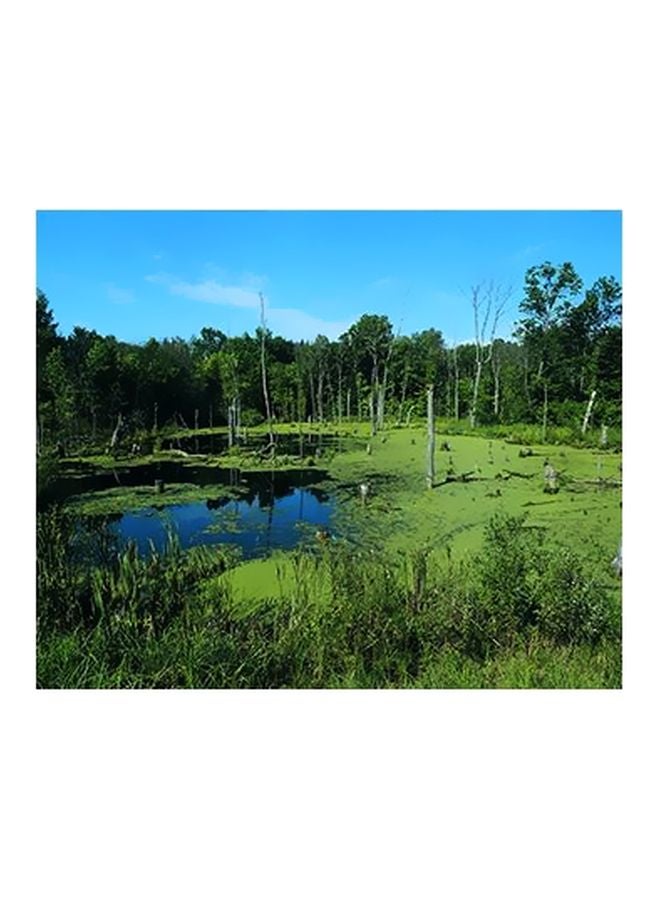 لوحة جدارية لتزيين الحائط مع إطار أخضر/أزرق 20x15سم